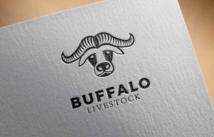 Buffalo head logo design
